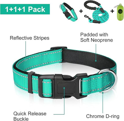 Dynmeow Reflective Dog Collar and Leash Set, 6FT Strong Climbing Rope Leash with Padded Handle, Adjustable Pet Collar with Soft Neoprene Padding for Puppy Small Dogs, Teal, Xs