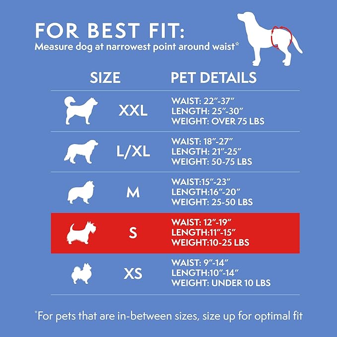 Simple Solution Disposable Female Dog Diapers, Absorbent Leak Proof Protection for Incontinence, Puppy Training, Heat Cycle, Travel, and Housebreaking, Small Dogs, 15–19 Inch Waist, 12 Count