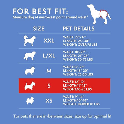Simple Solution Disposable Female Dog Diapers, Absorbent Leak Proof Protection for Incontinence, Puppy Training, Heat Cycle, Travel, and Housebreaking, Small Dogs, 15–19 Inch Waist, 12 Count