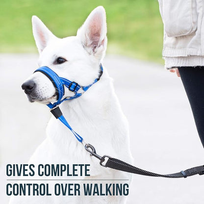 GoodBoy Dog Head Halter with Safety Strap - Stops Heavy Pulling On The Leash - Padded Headcollar for Small Medium and Large Dog Sizes - Head Collar Training Guide Included (Size 4, Blue Nylon)