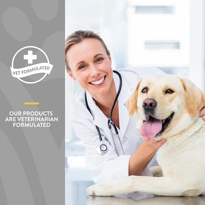 NaturVet Quiet Moments Calming Aid Dog Supplement, Helps Promote Relaxation, Reduce Stress, Storm Anxiety, Motion Sickness for Senior Dogs – 120-Ct. Soft Chews