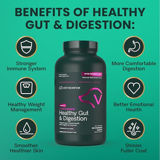 VetriScience Extra Strength Healthy Gut & Digestion Chewable Tablets, Probiotic BD Digestive Enzyme Supplement for Dogs, Soothe Gut and Bowel Discomfort, Chicken, 120 Count