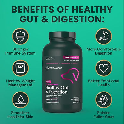 VetriScience Extra Strength Healthy Gut & Digestion Chewable Tablets, Probiotic BD Digestive Enzyme Supplement for Dogs, Soothe Gut and Bowel Discomfort, Chicken, 120 Count