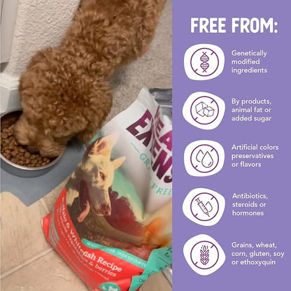Health Extension Grain Free Buffalo & Whitefish Dry Dog Food - 30+ Superfoods and Probiotics for All Life Stages (4 lb)