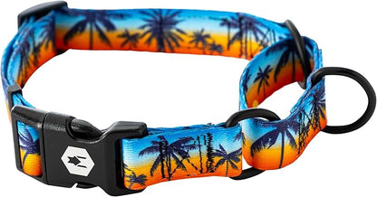 Wolfgang Heavy Duty Martingale Dog Collar with Quick Release Nylon Buckle for Walking & Training, SunsetPalms Print, Medium