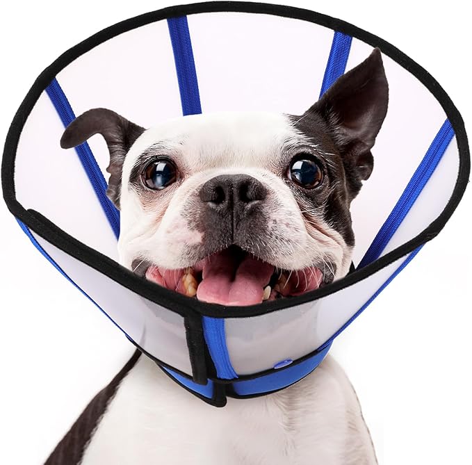 SUNFURA Dog Cone, Soft Cone for Dogs to Stop Licking, Transparent Pet Recovery Collar with Detachable Clear Shield, Neck E-Collar Alternative for Small Breeds, Blue S