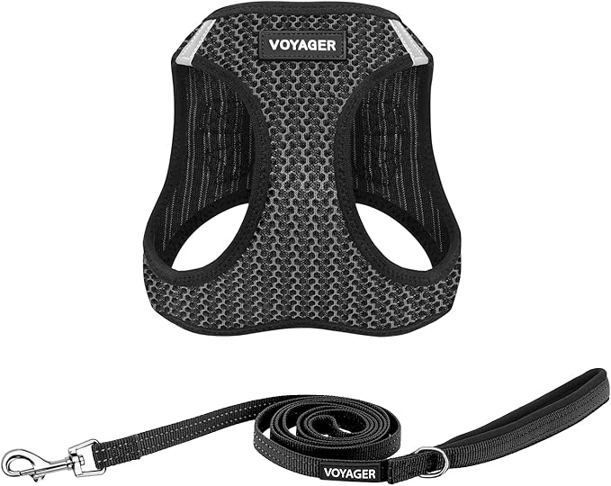 Best Pet Supplies Voyager Step-in Air All Weather Mesh Harness and Reflective Dog 5ft Leash Combo with Neoprene Handle, for Small, Medium and Large Breed Puppies - Set (Gray 2-Tone), Large