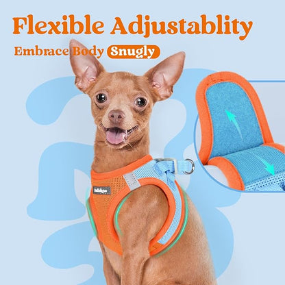 rabbitgoo Small Dog Harness, Step-in Soft Mesh Puppy Vest with Safety Buckle, Breathable Reflective Pet Harness for Small Sized Dogs, Blue & Orange XS