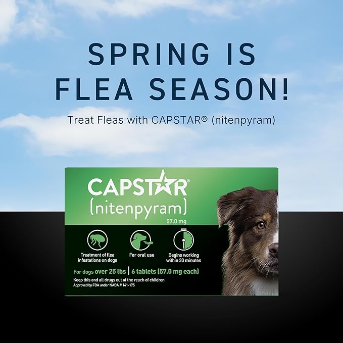 Capstar for Dogs (nitenpyram), Fast-Acting Oral Flea Treatment for Dogs Over 25+ lbs, Vet-Recommended Flea Medication Tablets Start Killing in 30 Minutes, 12 Doses (Includes Two 6-Count Boxes)