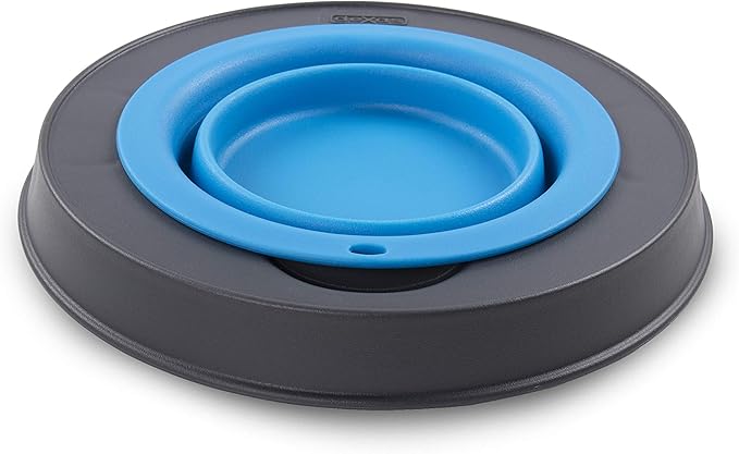 Dexas Pets Single Elevated Pet Feeder/Pet Bowl, I.5 Cup Capacity, Pro Blue, Small