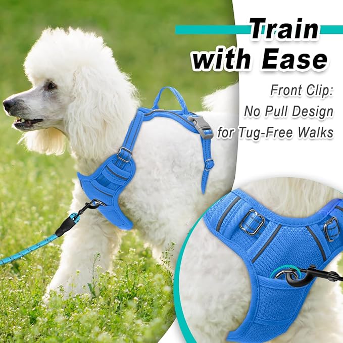 BARKBAY Dog Harness No Pull Mesh for Small Dogs - Adjustable, Reflective, Comfortable, No Choke, Heavy-Duty - Perfect for Outdoor Training, Walking, and Hiking - Strong & Durable - S & Blue Mesh