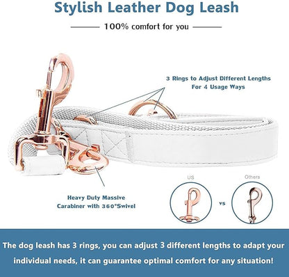 Soft Leather Dog Collar and Leash (6.6') Set - Stylish Rose Gold Heavy Duty Metal Buckle, 4 Adjustable Lengths Leash for Small Medium Large Dogs - Comfortable & Easy to Clean White XS(8"-12")