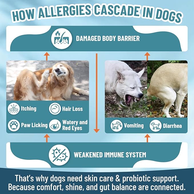 Dog Allergy Chews with Probiotics for Dogs, 200 Dog Allergy Relief Treats for Dogs Immune Support & Itching Skin Relief, Ears, Eyes, Paws Support, Dog Probiotics for Gut Health, Chicken Flavor
