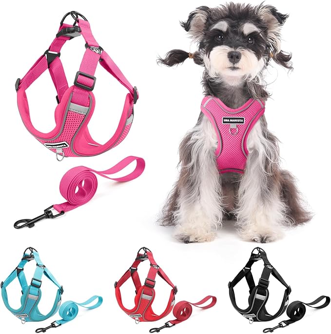 Dog Harness and Leash Set, Adjustable Triangle, Reflective Adjustable Puppy Vest, No Pull Soft Mesh Harness for Small, Medium Dogs, Cats (Fuchsia, XL)