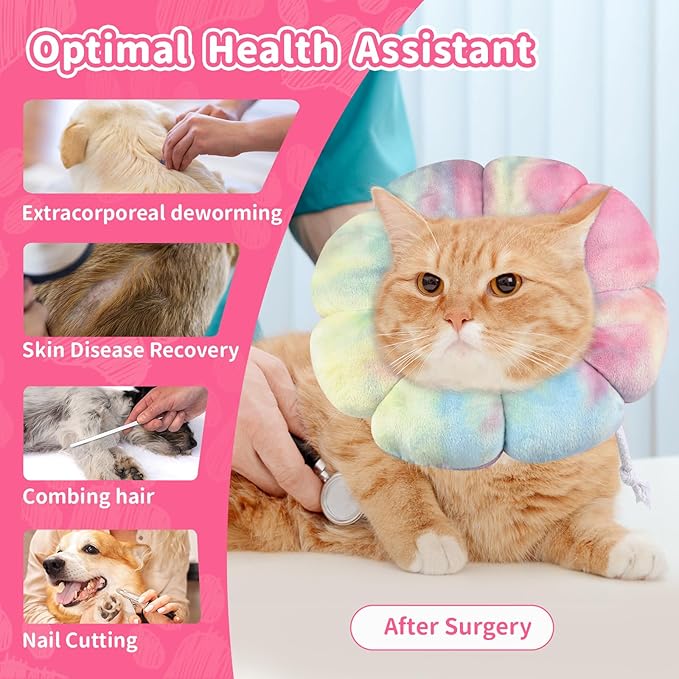 Dog Cat Surgical Recovery Cone Dog Protective Collar, Pet Recovery E-Collar Soft Neck Cone to Stop Licking Wound for Cats & Kittens Small Dog After Surgery (Pinkblue, S)