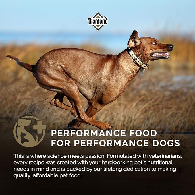 Diamond Performance All Life Stages Dry Dog Food 30/20 for Highly Active, Hard Working & Athletic Dogs 40lb Bag