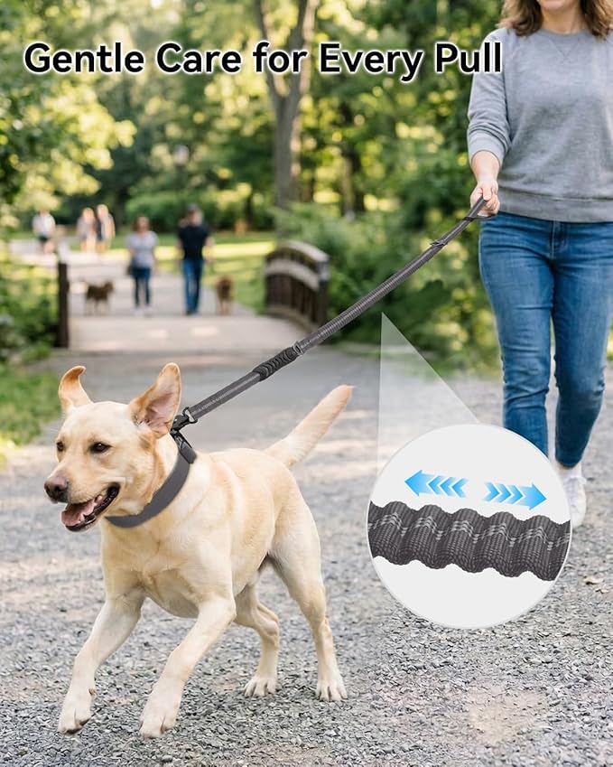 Joytale Tactical Dog Leash Heavy Duty, 4-6FT Shock Absorbing Bungee Lead with 2 Padded Handle, Metal Carabiner Clip, Car Seatbelt, Strong No Pull Leash for Medium Large X-Large Dogs, Gray