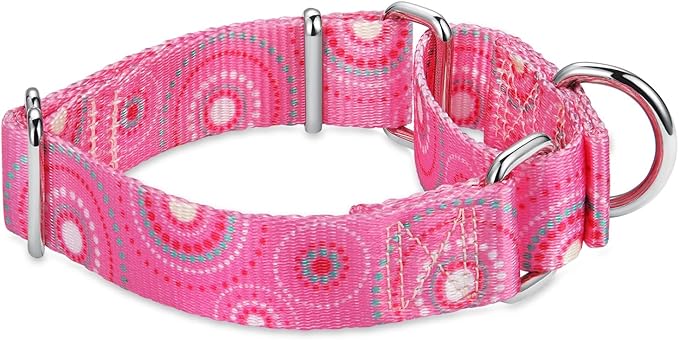 Martingale Collar Dog Collar No Pull Pet Collar Heavy Duty Dog Martingale Collars Silky Soft with Unique Pattern for Medium and Large Dogs (Firework Dots Pink,L)