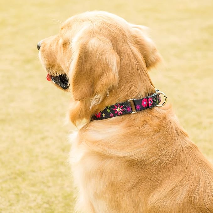 Martingale Collar Floral Print Dog Collar - No Pull Pet Collar, Heavy Duty for Medium Dogs, Adjustable Neck 14 Inch to 21 Inch, Sun Flower (Black)