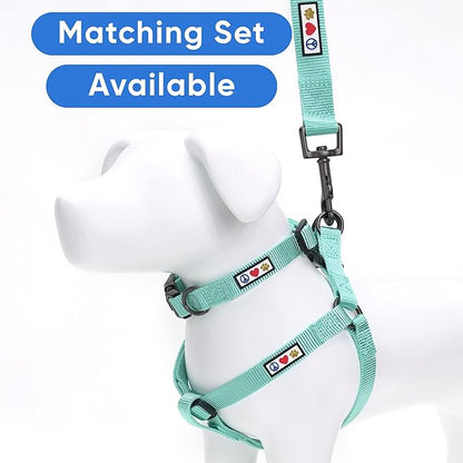 Pawtitas Solid 6 ft Teal Dog Leash XS/S Custom Name and Phone Embroidery Strong Nylon Leash for Small Breeds