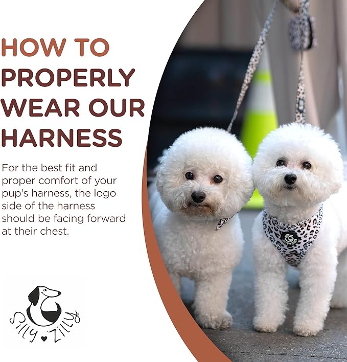 No Pull Harness and Leash Set - 6-in-1 Adjustable Vest Harness and Collars for Medium and Large Dogs. (Leopard, Small)