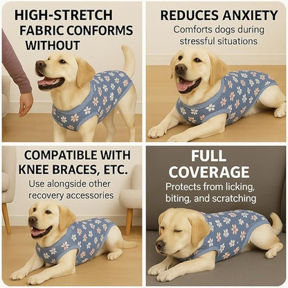 PetWarm Surgery Suit for Dogs Female, Bodysuit for Abdominal Affected Areas Sensitive Skin Areas, Dog Abdominal Affected Areas Bandages Substitute E-Collar and Cone, Flower Pattern, Blue, XL