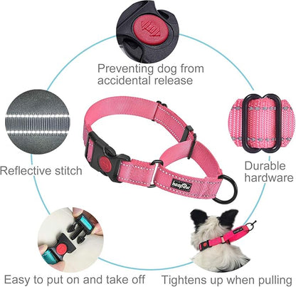 haapaw Martingale Dog Collar with Quick Release Buckle Reflective Dog Training Collars for Small Medium Large Dogs