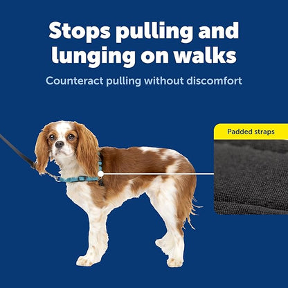 PetSafe Deluxe Easy Walk Harness - Trainer-Trusted Dog Chest Harness with Breathable Martingale Loop Design - Helps Stop Pulling with No Choking & Gagging - Small - Ocean