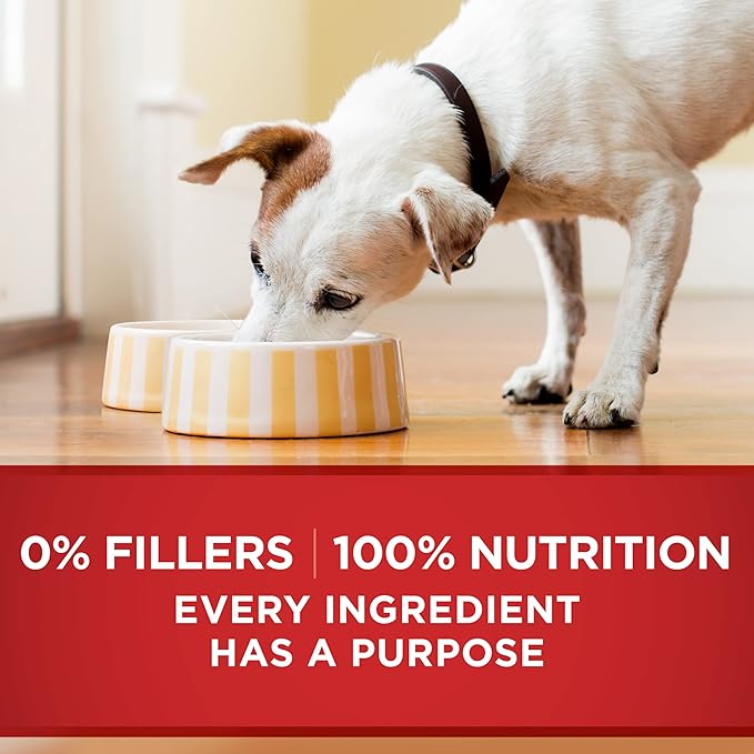Purina ONE Natural Wet Dog Food Gravy, Tender Cuts in Gravy Beef and Barley Entrée - 13 Ounce (Pack of 24)