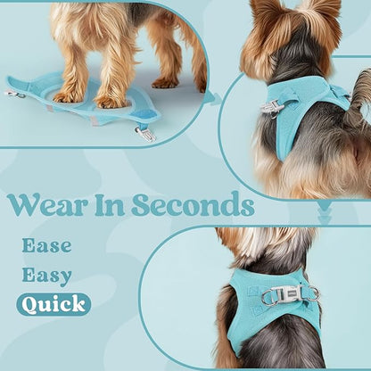 rabbitgoo Small Dog Harness, Step-in Soft Mesh Puppy Vest with Safety Buckle, Breathable Reflective Pet Harness for Small Sized Dogs, Mint Blue S