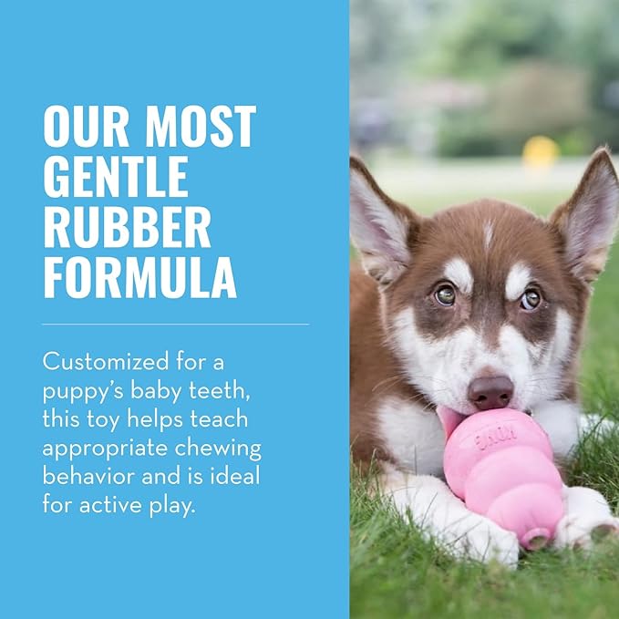 KONG - Puppy Toy Natural Teething Rubber - Fun to Chew, Chase and Fetch - for Medium Puppies - Pink (Pack of 2)