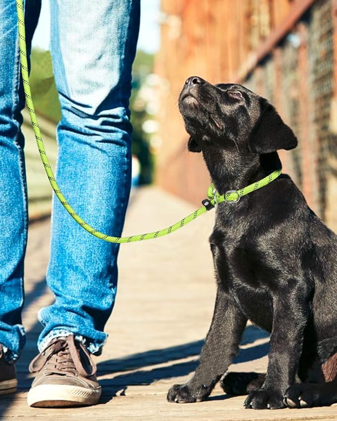 TagME 6ft Slip Dog Lead, No Pull Reflective Training Leash with Padded Handle, Professional Rope P-Leash for Small Medium Large Dogs, Heavy Duty Correction Lead for Walking & Training (Green)