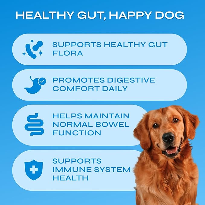 Dog Probiotics - 260 Billion CFU per Pack with Prebiotics, Digestive Enzymes, Pumpkin - Probiotics for Dogs for Digestive Health, Gut Support, Yeast Balance, Allergies Support, Itchy Skin - 130 Chews