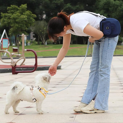 Dog Cat Harness and Leash Set, Puppia Soft Mesh Padded and Adjustable Puppy Vest Cute Dog Clothes Escape Proof Easy Walk Pet Accessories (Honeybee, S (Neck 10.6"-13"; Chest 14"-19.6"))