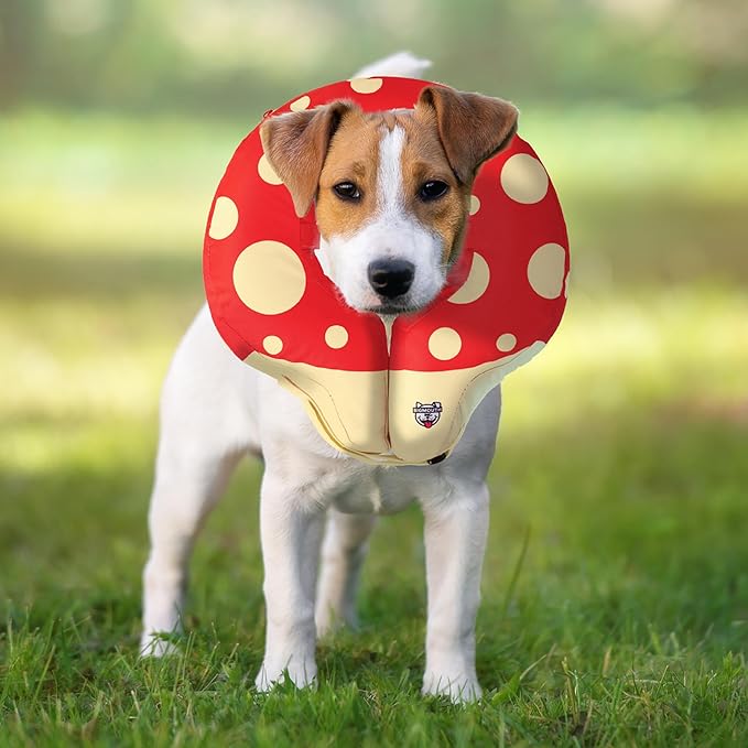 Mushroom Inflatable Dog Recovery Collar, Comfortable Cone Replacement for Pet Surgery, Protective Collars to Prevent Licking & Biting, Size Medium