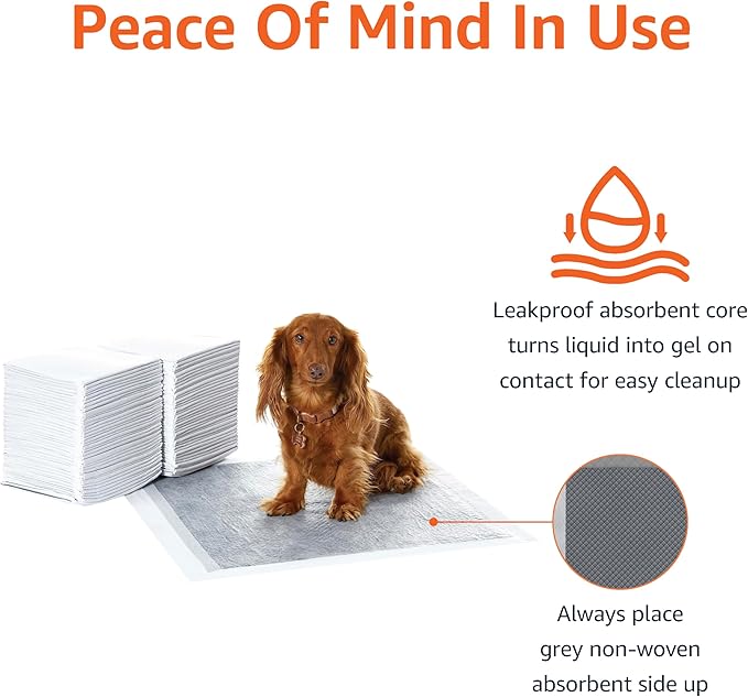 Amazon Basics Carbon Odor Control Dog and Puppy Pee Pads, 5-Layer Leak-Proof Super Absorbent, Quick-Dry Surface for Potty Training, Regular Size 22"x22", Gray, 120 Count