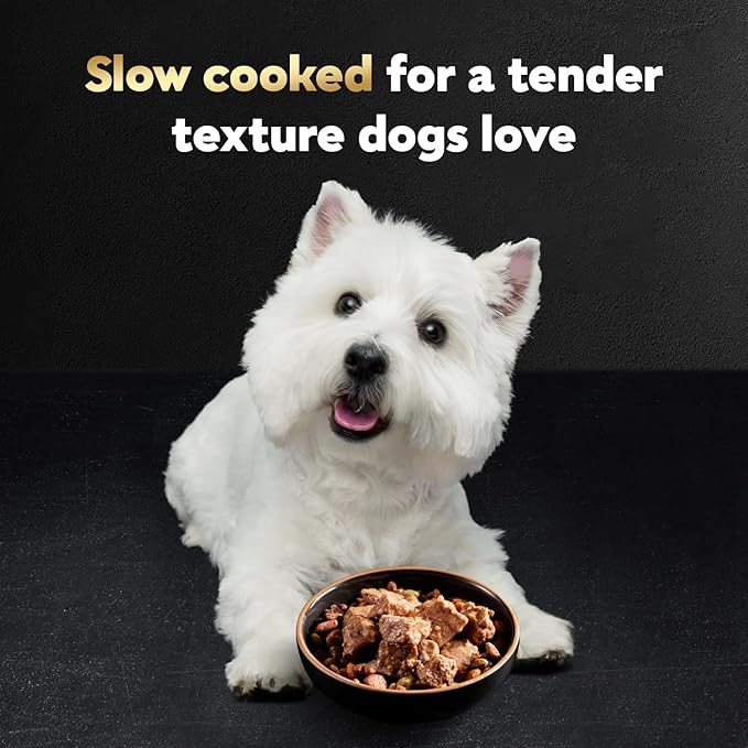 Cesar Wet Dog Food Steak Lovers Variety Pack, Adult, Wet Food for Dogs with Real Meat, 3.5 oz Easy Peel Trays, 36 Count