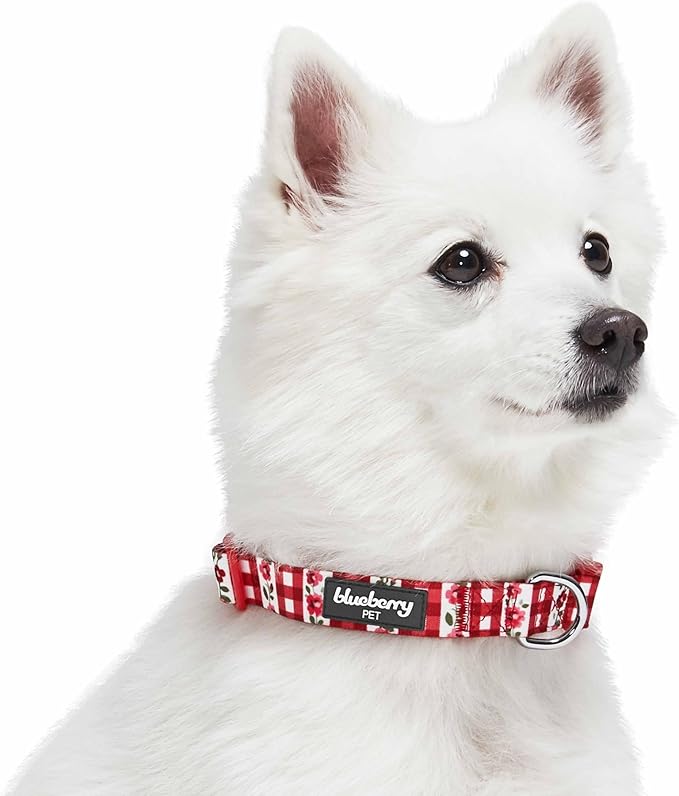 Blueberry Pet Spring Scent Inspired Dainty Flower Dog Collar, Red Check, Adjustable Dog Collar for Small Dogs, Size Small, Neck 12-16"