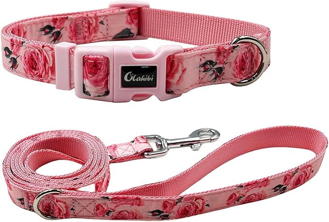 Dog Collar Leash Set, Floral Pattern, Nylon Webbing Plus Cotton Ribbon, 5ft Matching Leash, for Medium Dogs.(M, Pink Rose)