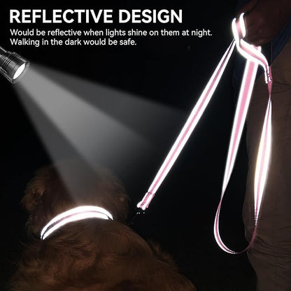 Joytale Dog Leash, 6 FT Double-Sided Reflective, Padded Handle Nylon Heavy Duty Leashes for Small Dogs Walking, Pink