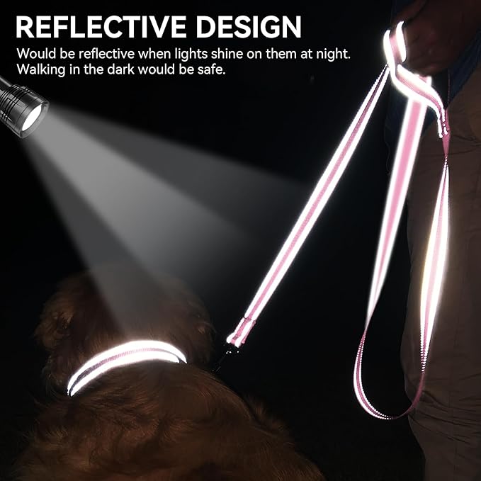 Joytale Dog Leash, 6 FT Double-Sided Reflective, Padded Handle Nylon Heavy Duty Leashes for Medium & Large Dogs Walking, Pink