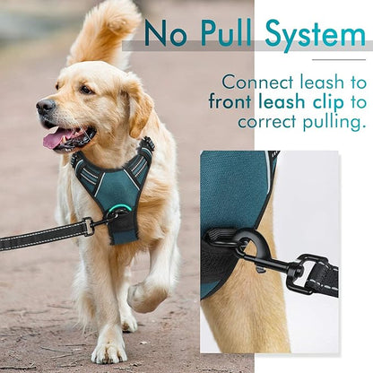 rabbitgoo Dog Harness No Pull with 2 Leash Clips, Adjustable Soft Padded, Reflective Oxford No Choke Pet Vest with Easy Control Handle for Small Dogs, Blue Coral, S