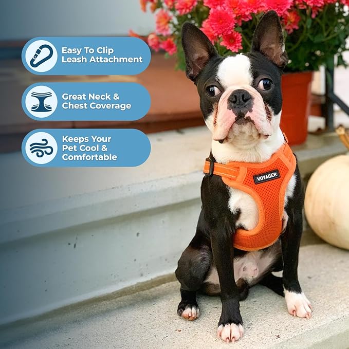 Best Pet Supplies Voyager Adjustable Step-in Flex Breathable Mesh Dog Harness for Small Medium Large Dogs Leash Set (Orange), S