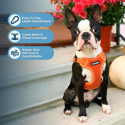 Best Pet Supplies Voyager Adjustable Step-in Flex Breathable Mesh Dog Harness for Small Medium Large Dogs Leash Set (Orange), XS