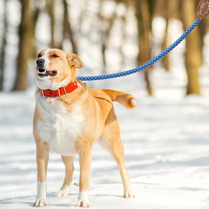 Mile High Life | Mountain Climbing Dog Rope Leash with Heavy Duty Metal Sturdy Clasp | Genuine Leather Tailored Connection with Strong Stitches (Sky Blue Hot Blue, 48 Inch (Pack of 1))