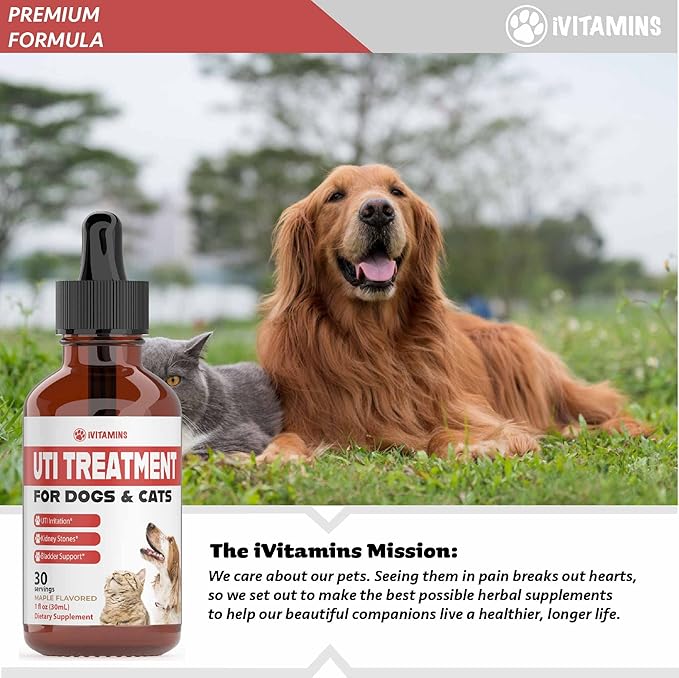 Cat & Dog UTI Treatment - UTI Medicine for Dogs - Cat UTI Treatment - Dog UTI Treatment - May Help with UTI's, Incontinence, Bladder Stones & More - 1 fl oz