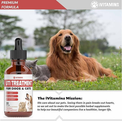 Cat & Dog UTI Treatment - UTI Medicine for Dogs - Cat UTI Treatment - Dog UTI Treatment - May Help with UTI's, Incontinence, Bladder Stones & More - 1 fl oz
