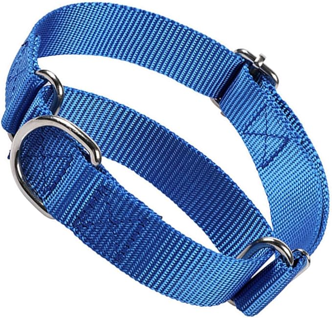 Martingale Dog Collar for Medium Dogs, No Pull Choke Dog Collar Escape Proof Cinch Dog Training Collars Adjustable for Small Medium Large Breed Pet Dogs, Blue M
