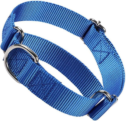 Martingale Dog Collar for Small Dogs, Escape Proof Dog Choke Collar No Pull Cinch Dog Training Collars Adjustable for Small Medium Large Breed Pet Dogs, Blue S