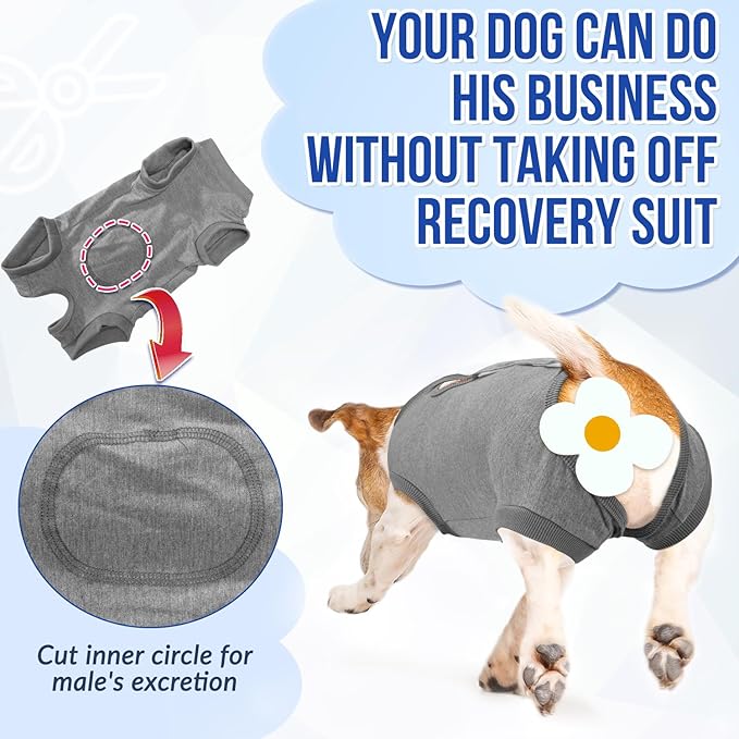 SlowTon Dog Surgery Recovery Suit - Soft Recovery Suit for Dogs Female Male, Dog Onesie for Surgery Female After Spay Prevent Licking, Neuter Suit for Male Dogs Surgical Recovery (Grey,M)